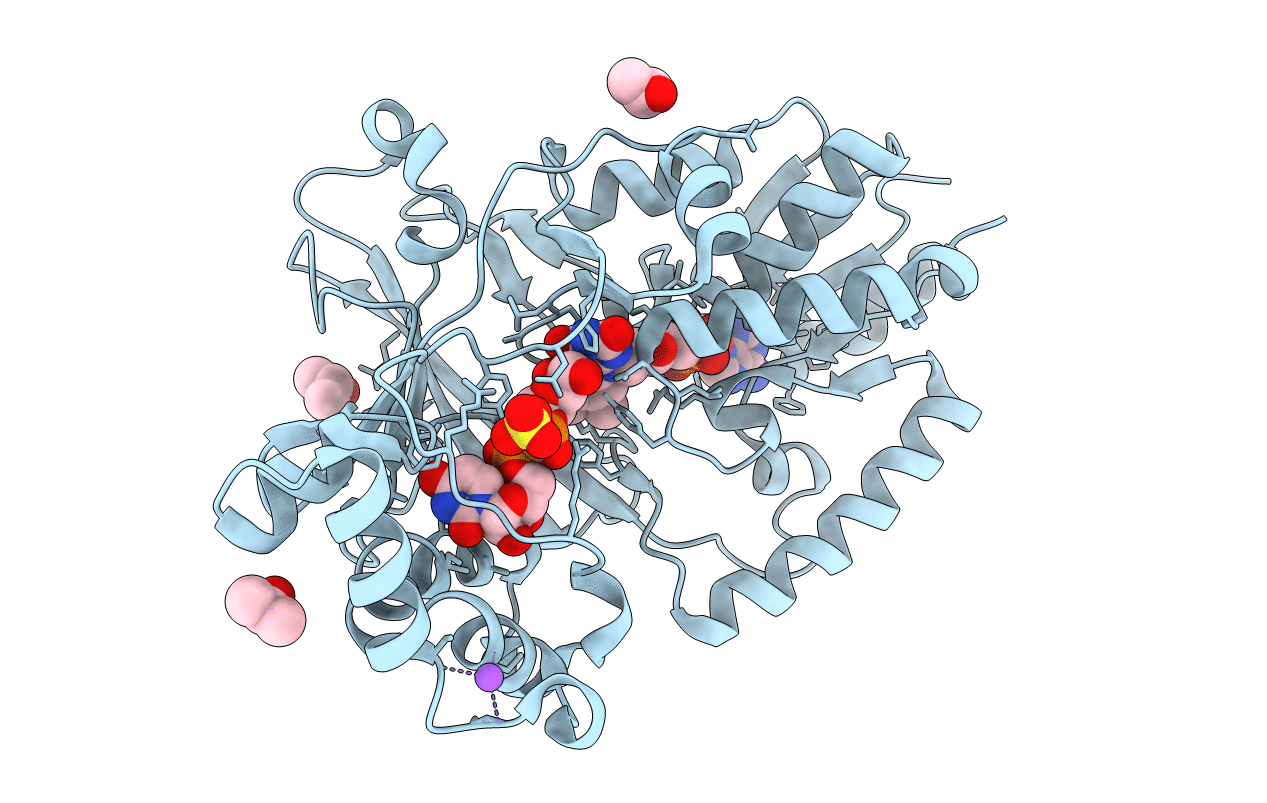 6D2G image