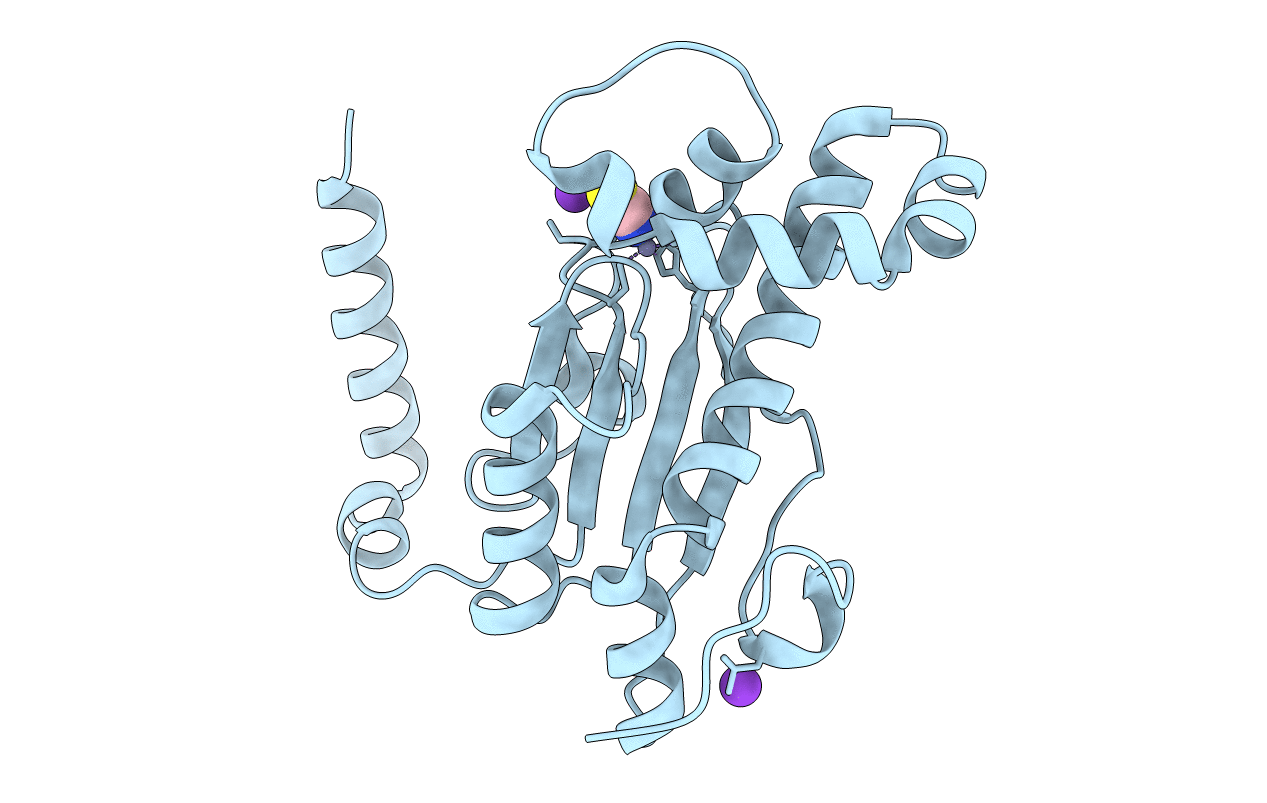 6D2J image