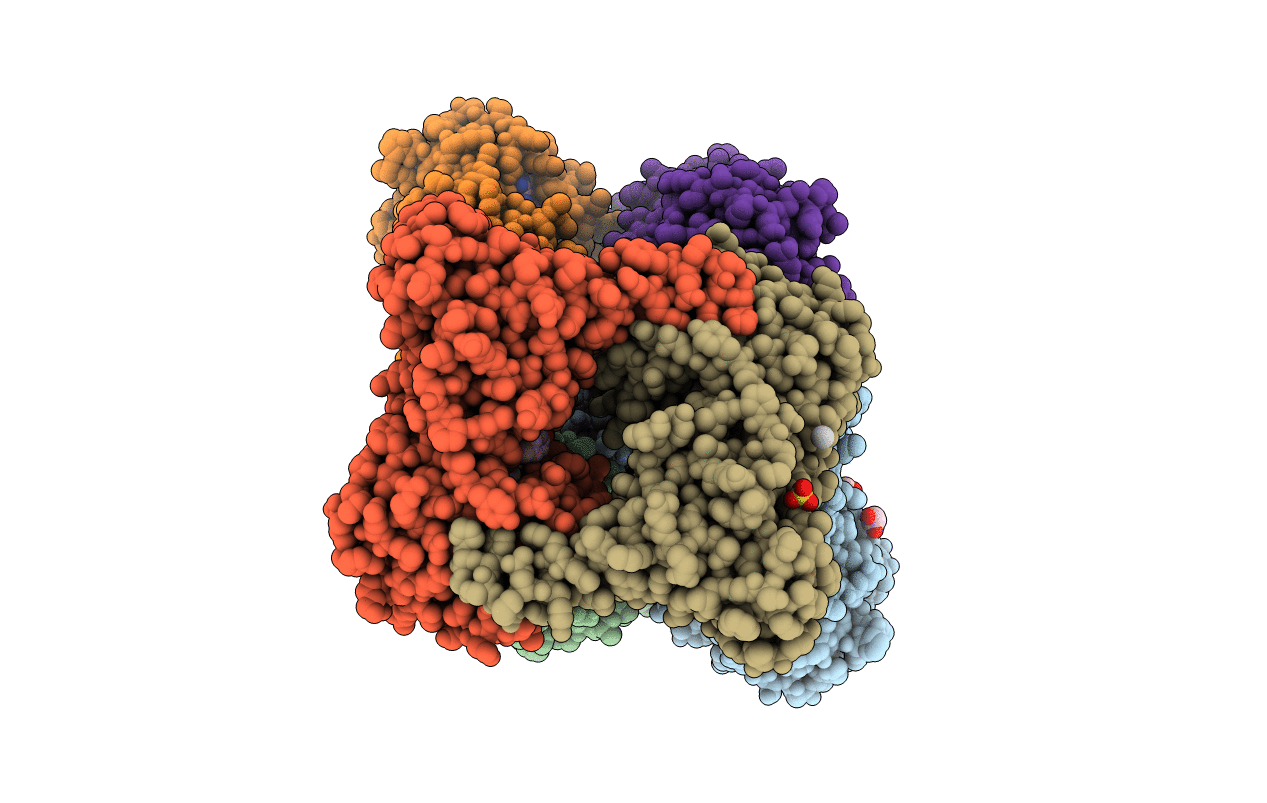 6D2L image