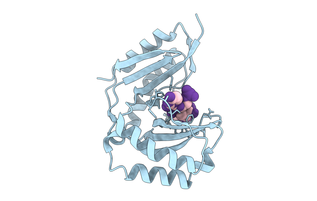 6D30 image