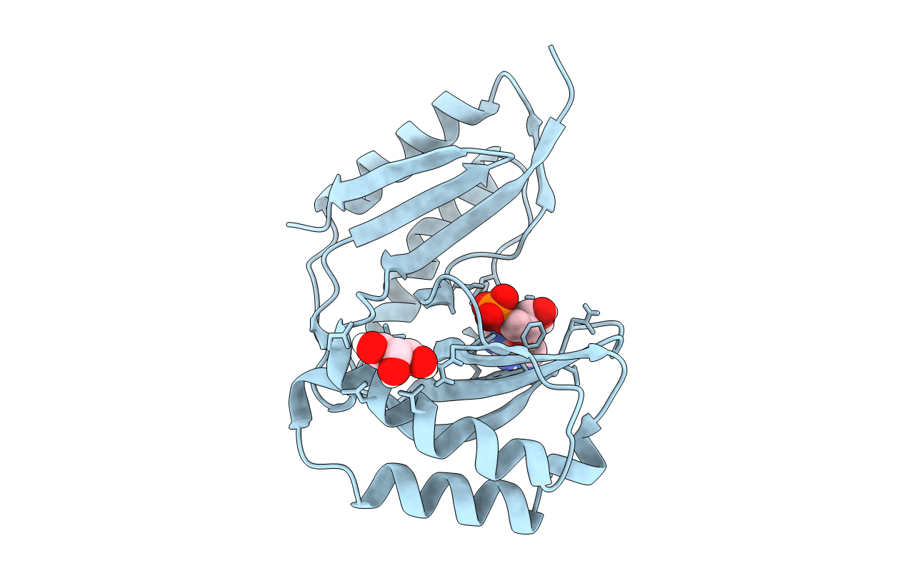 6D31 image