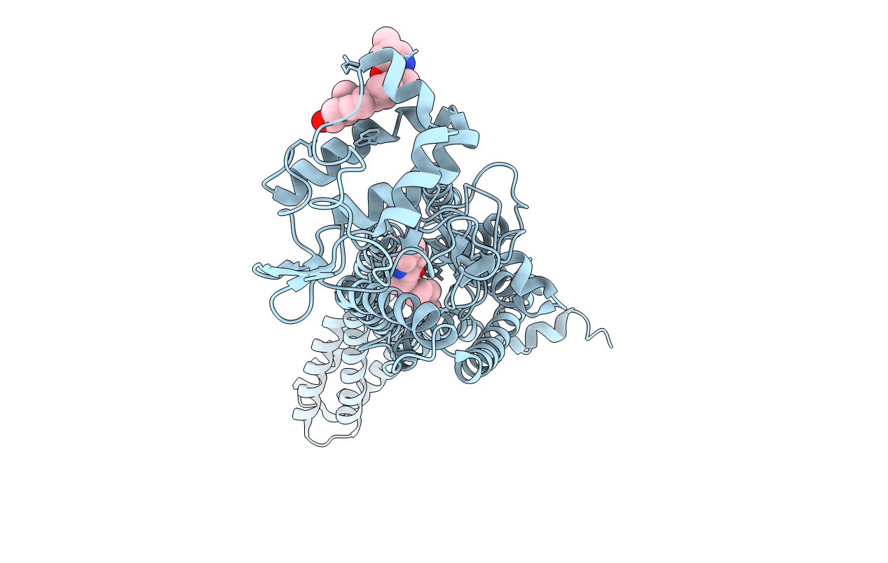 6D32 image