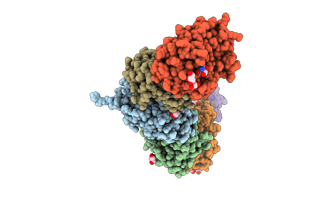 6D33 image