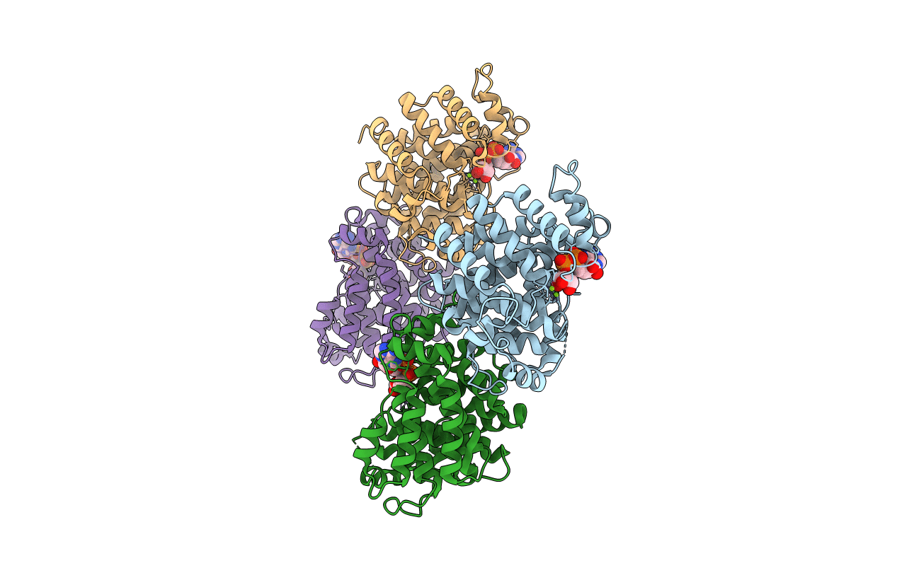 6D36 image