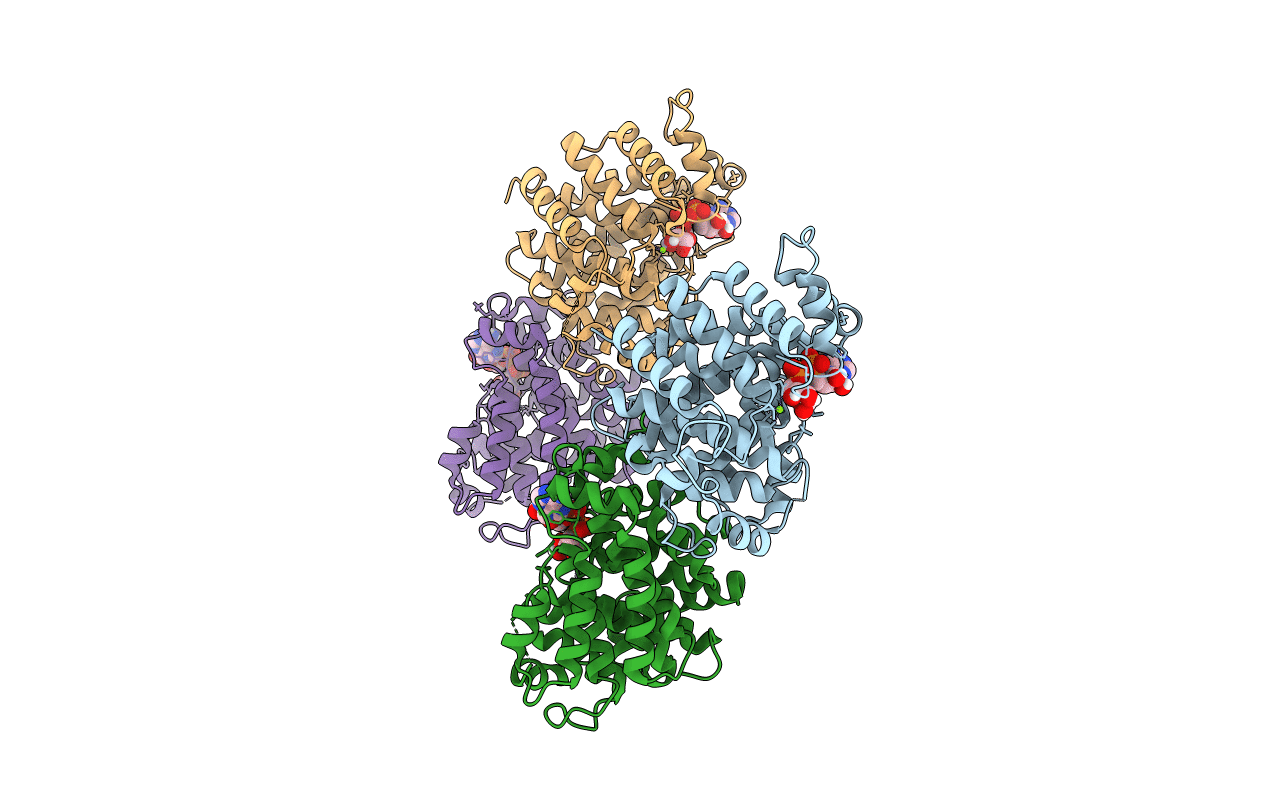 6D3A image