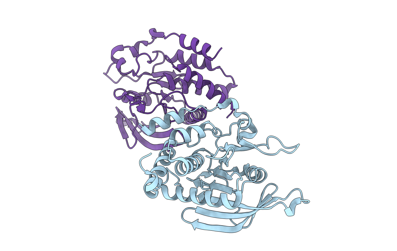 6D3F image