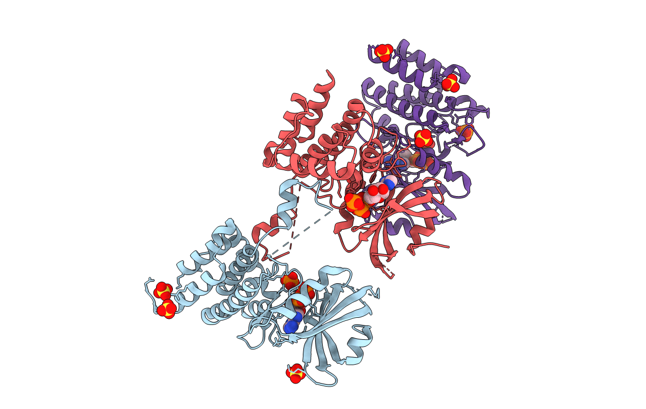 6D3K image