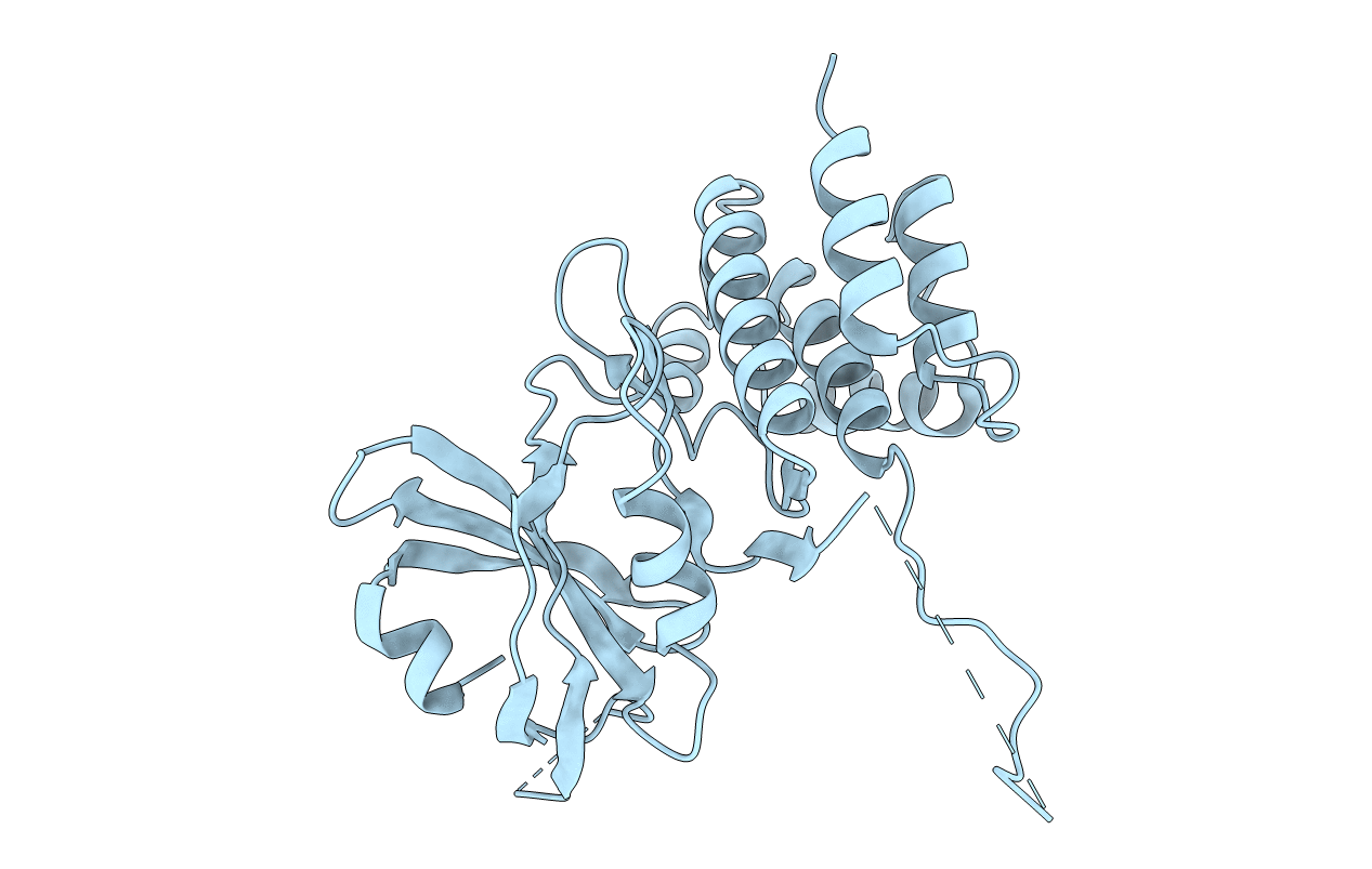 6D3L image