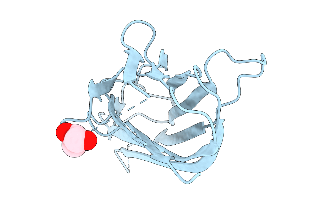 6D3N image