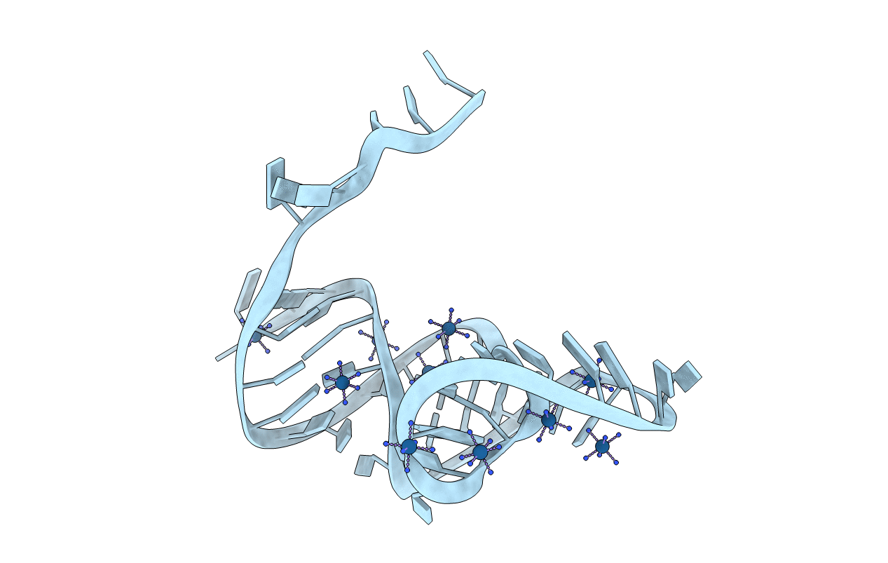 6D3P image