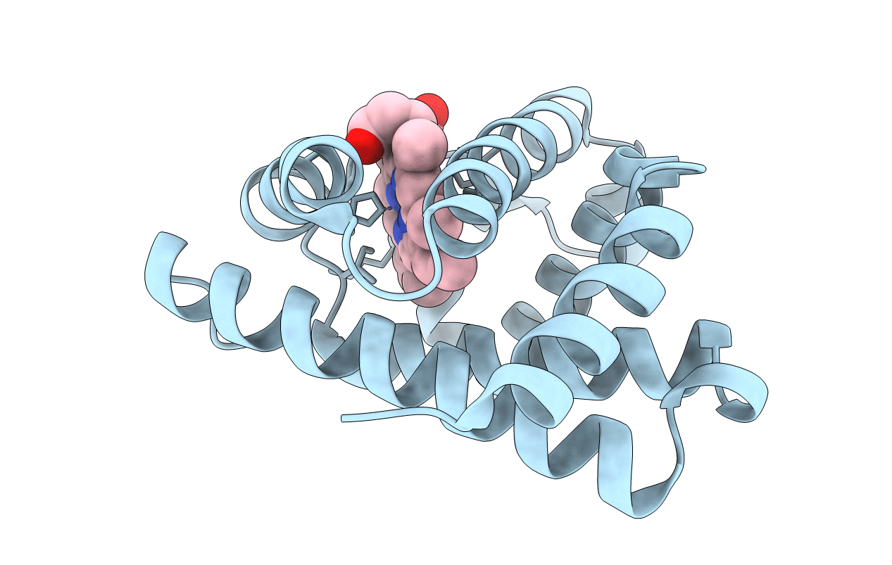 6D45 image