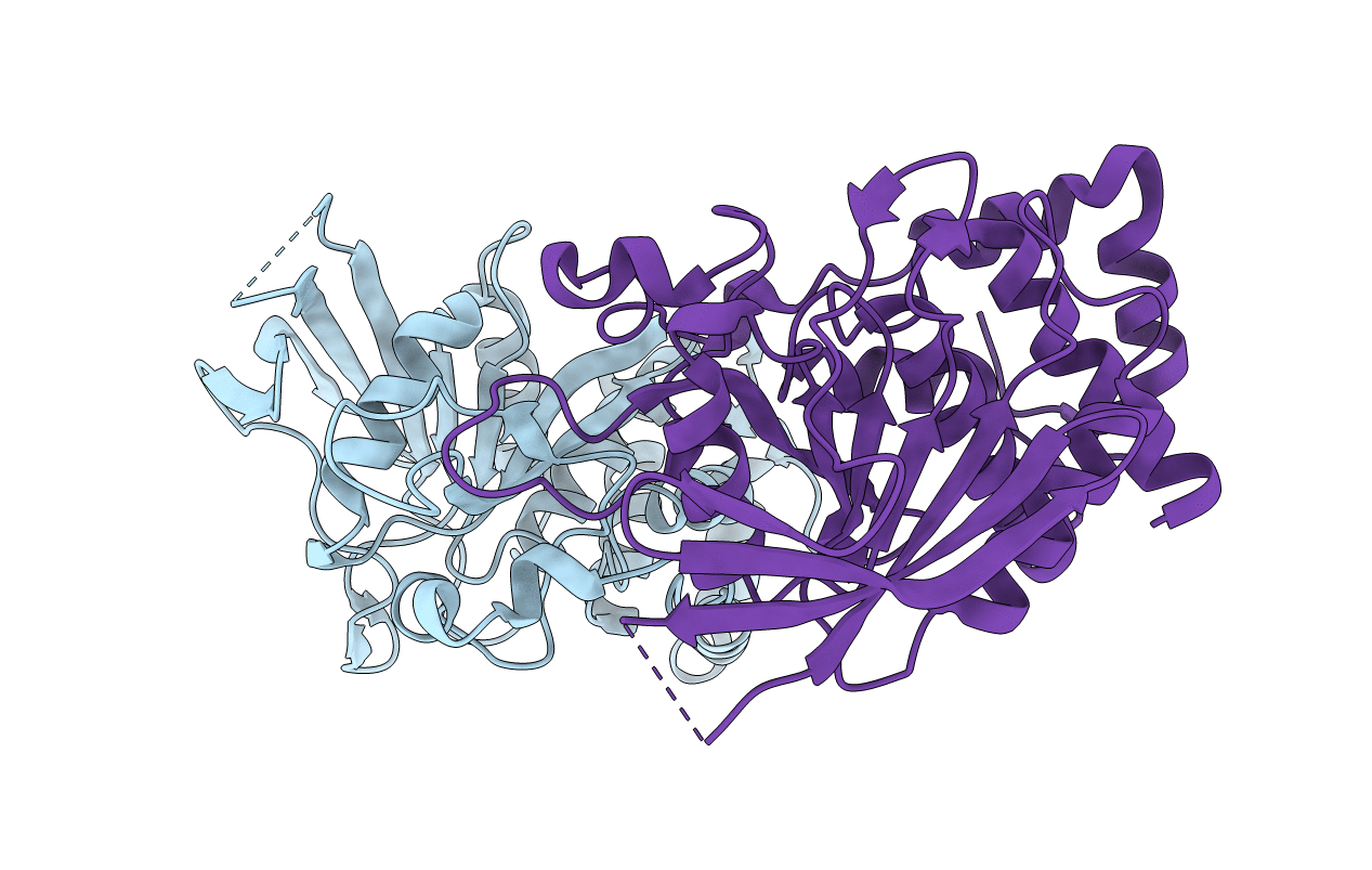 6D4D image
