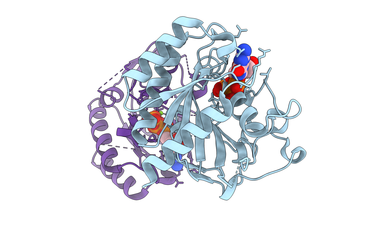 6D4G image