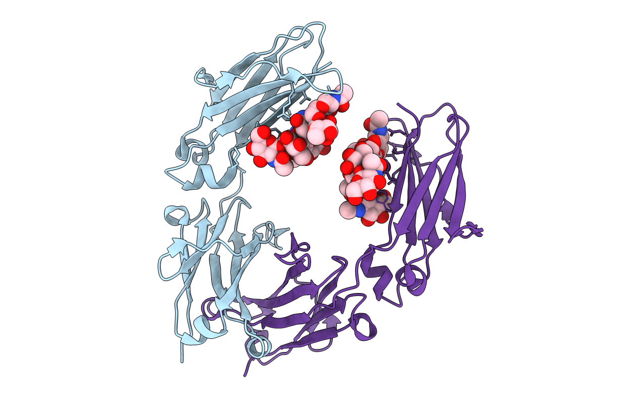 6D4I image