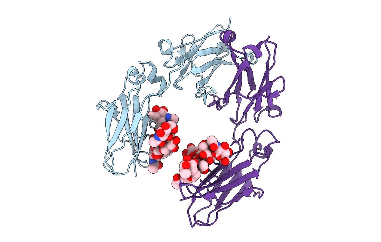 6D4N image