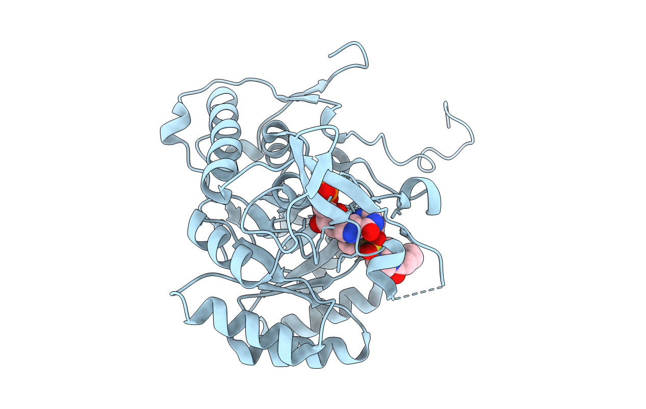 6D4V image