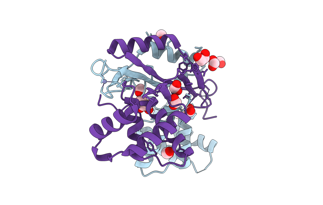 6D57 image