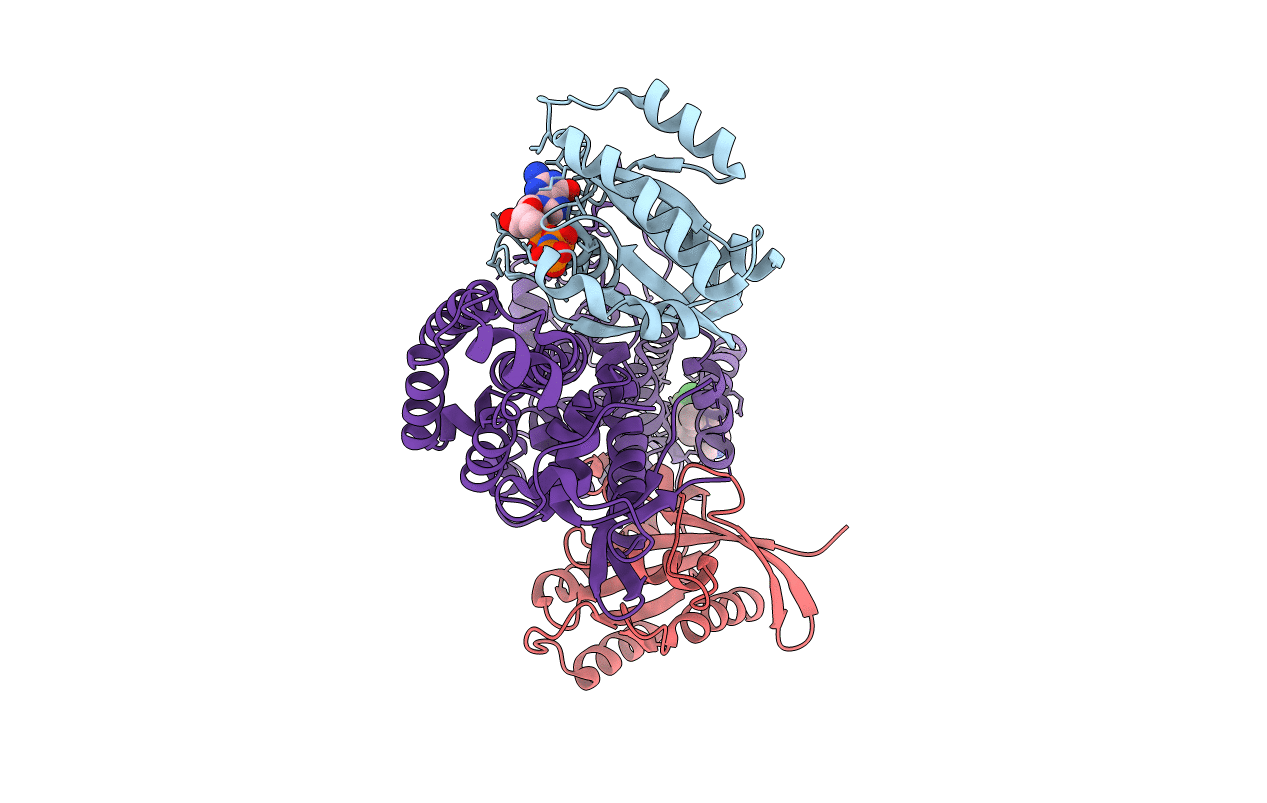 6D5M image