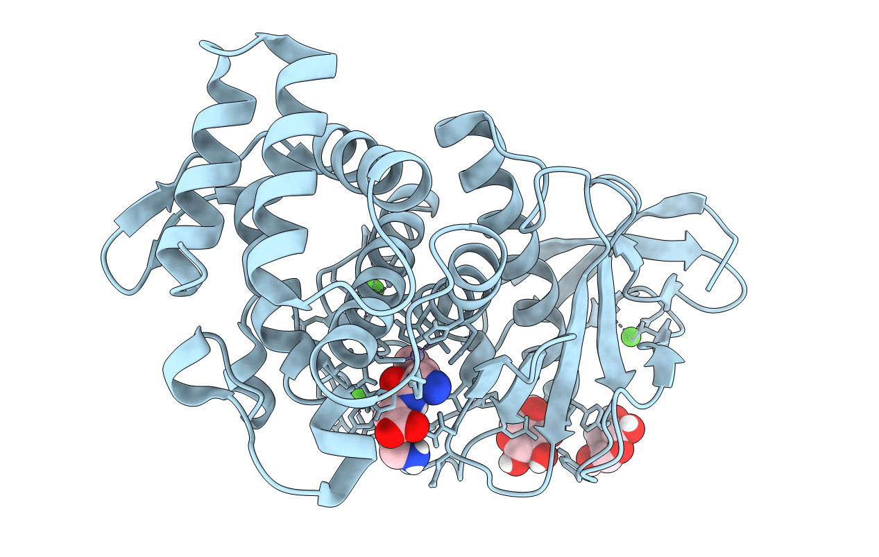 6D5N image