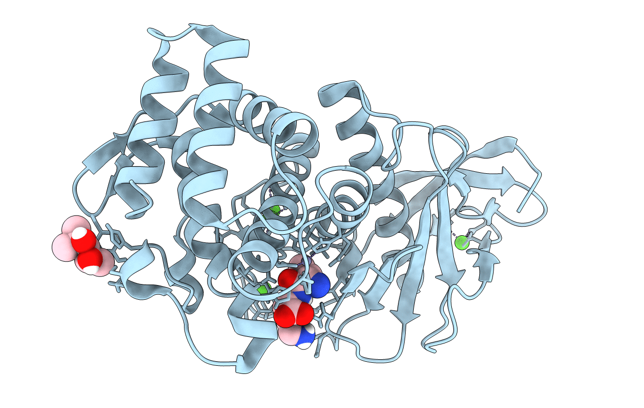 6D5T image