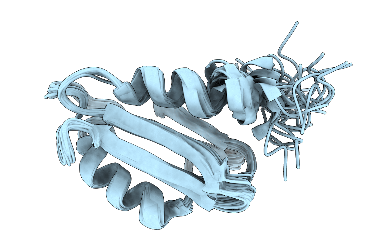 6D5Z image