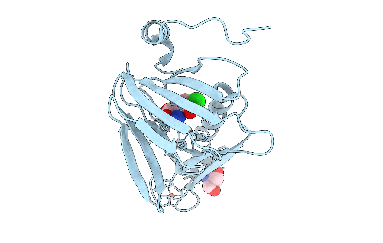 6D61 image