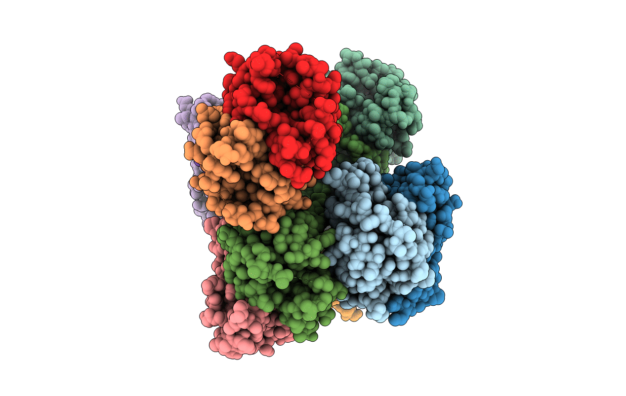 6D63 image
