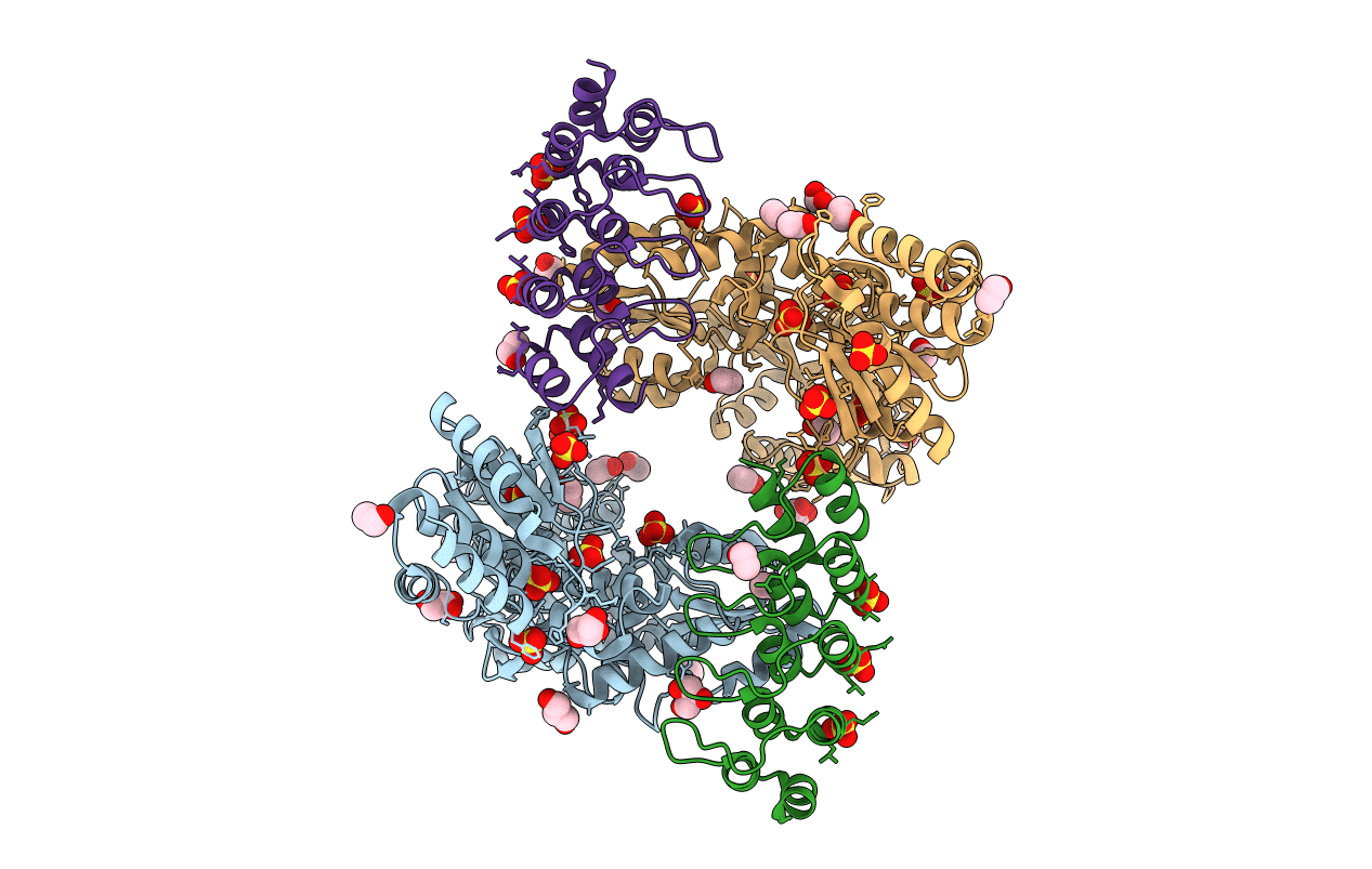 6D65 image