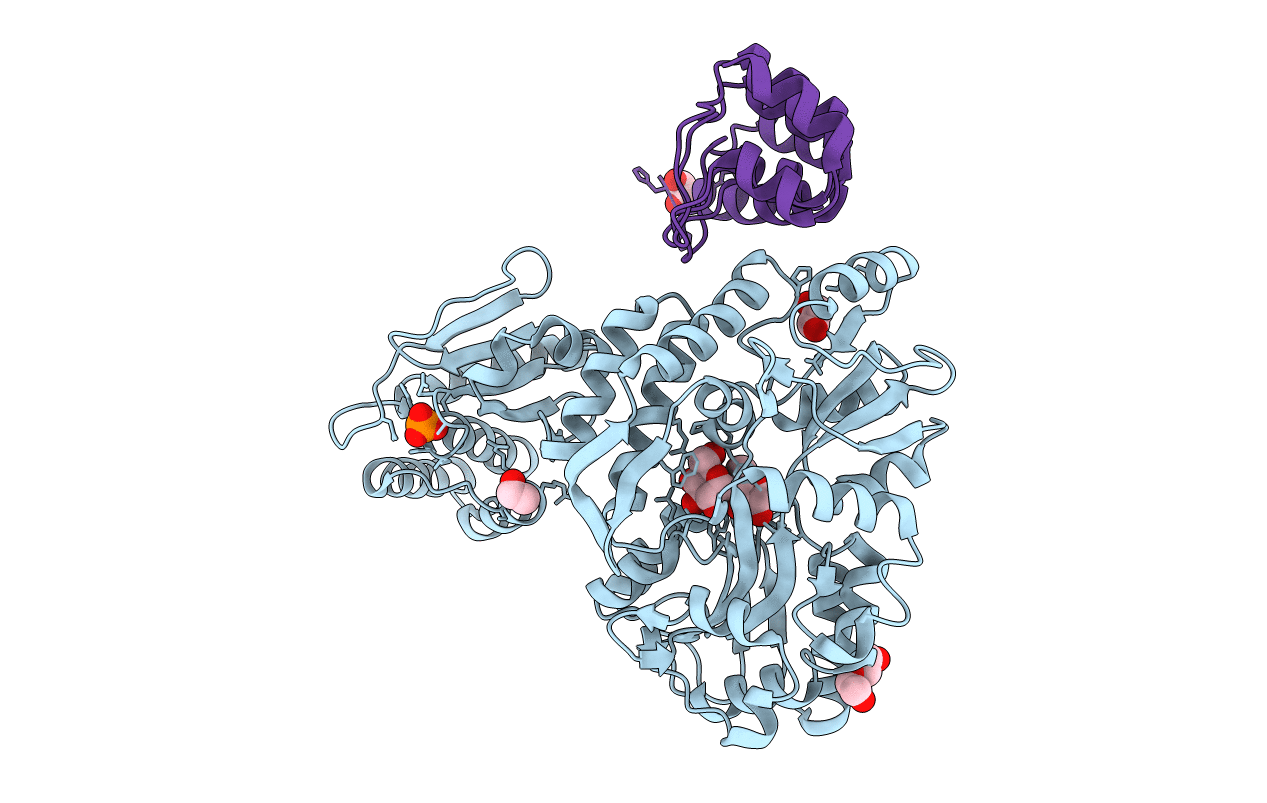 6D67 image