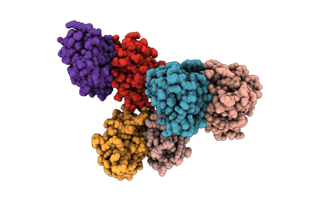 6D6B image