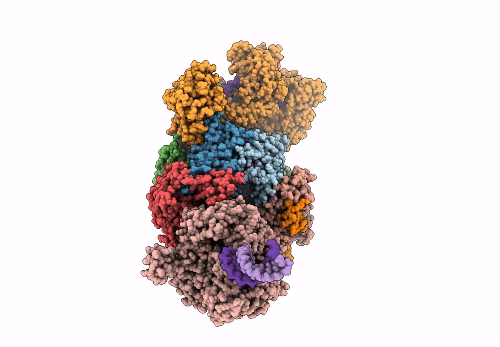 6D6Q image