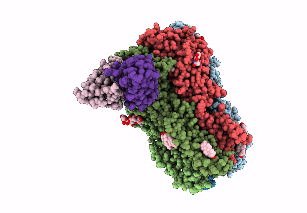 6D6T image