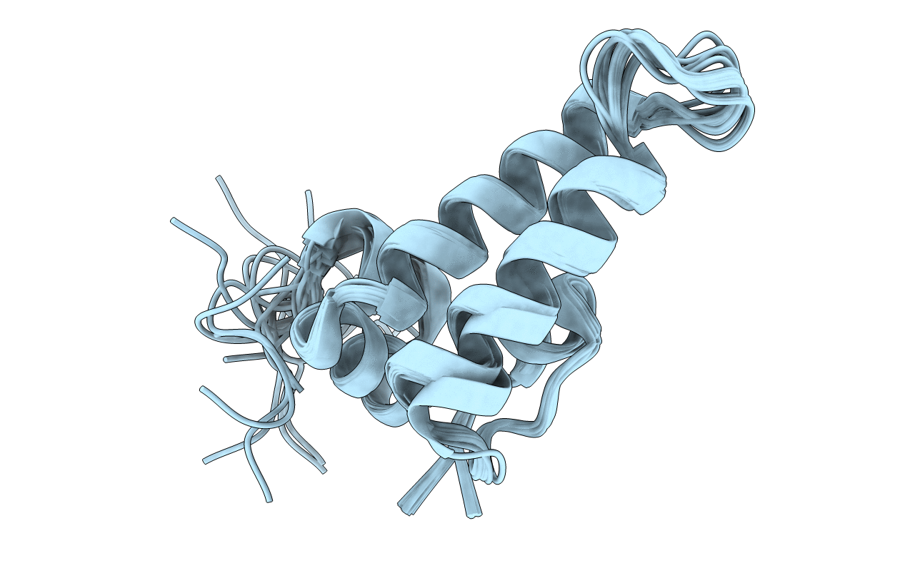 6D6X image