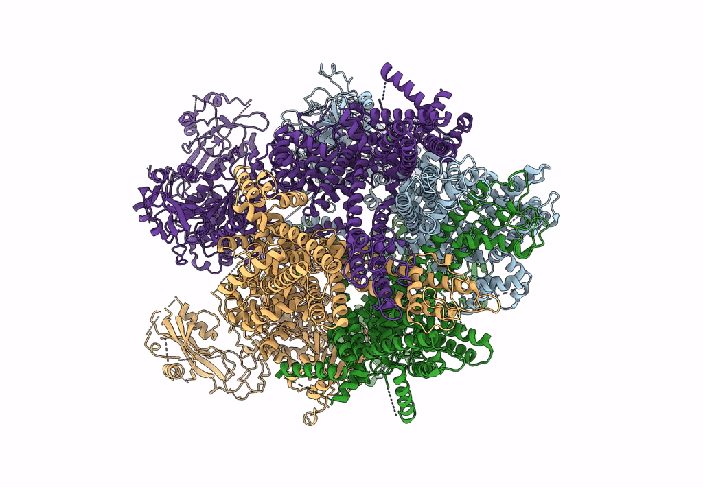 6D73 image