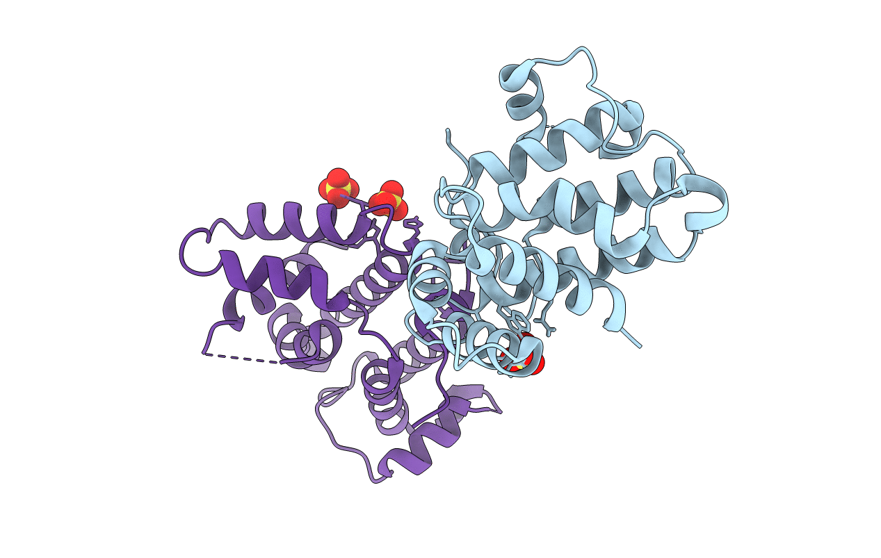 6D82 image