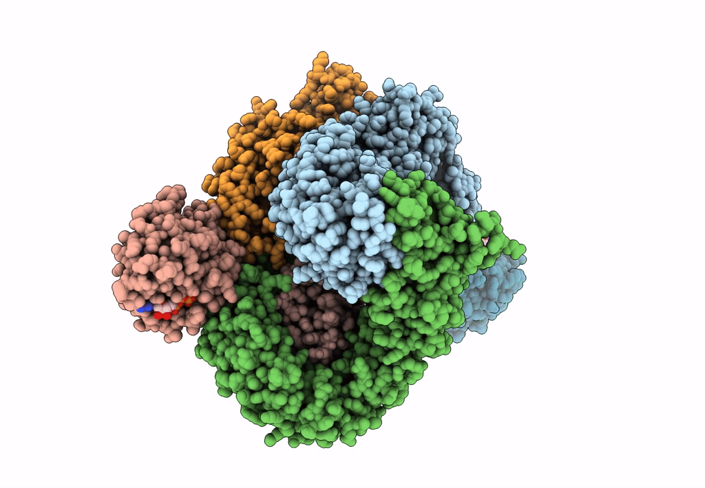 6D83 image