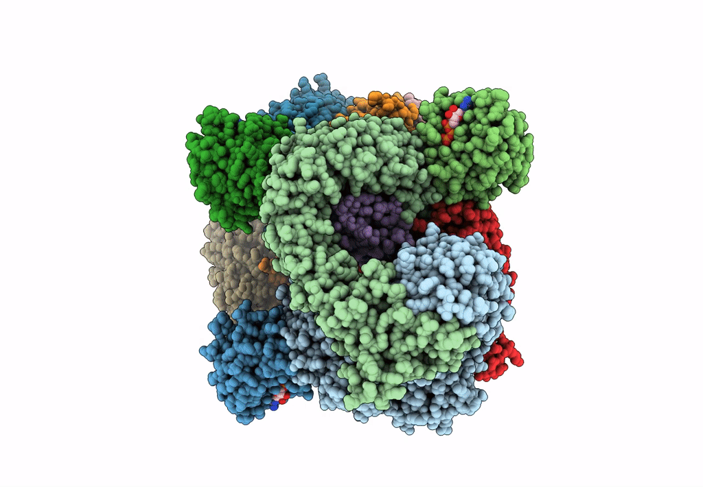 6D84 image