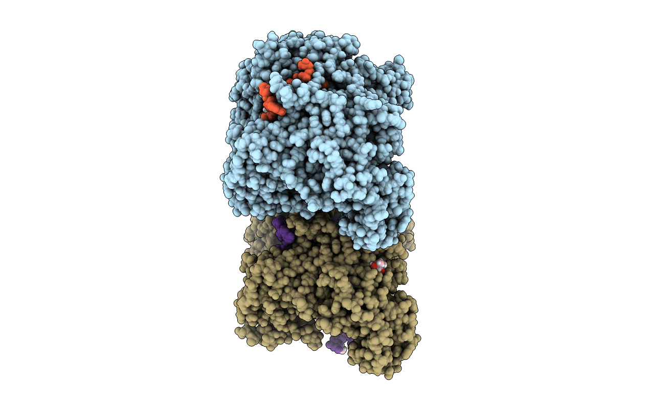 6D8A image