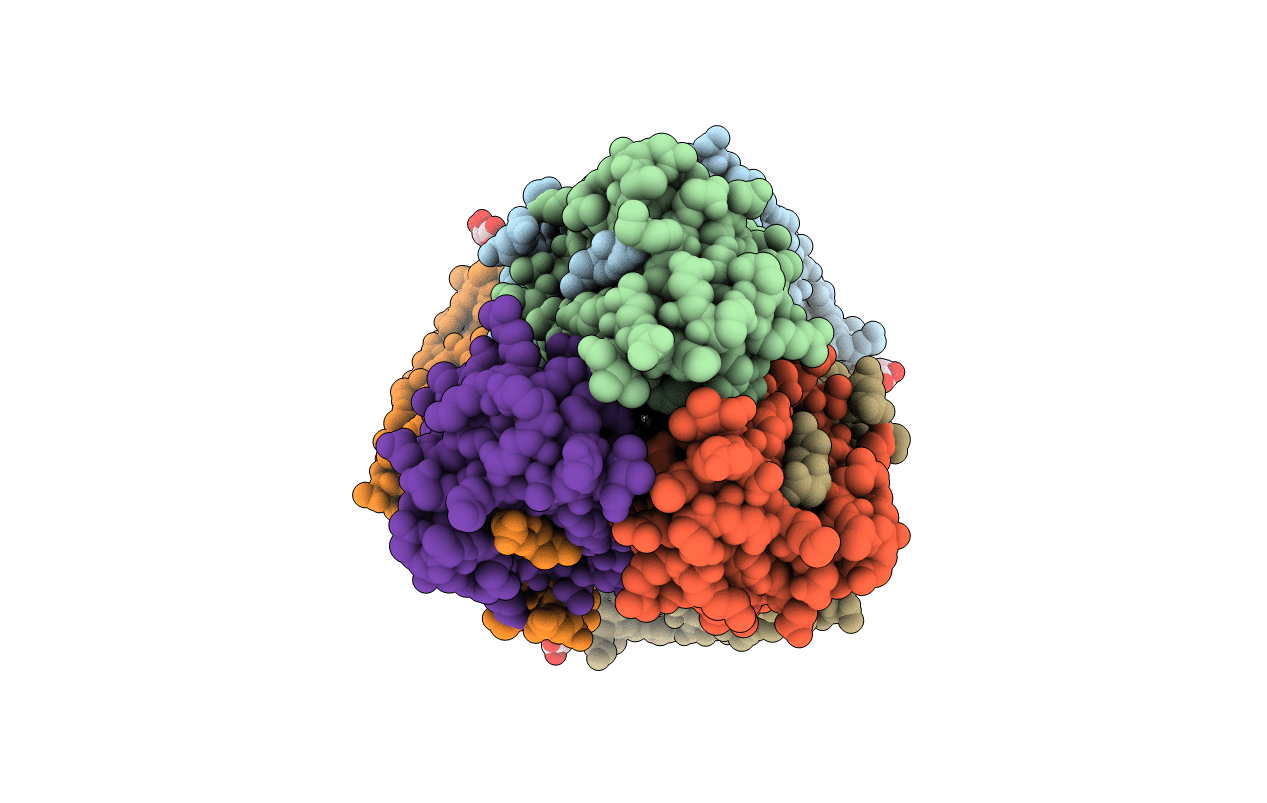 6D8B image
