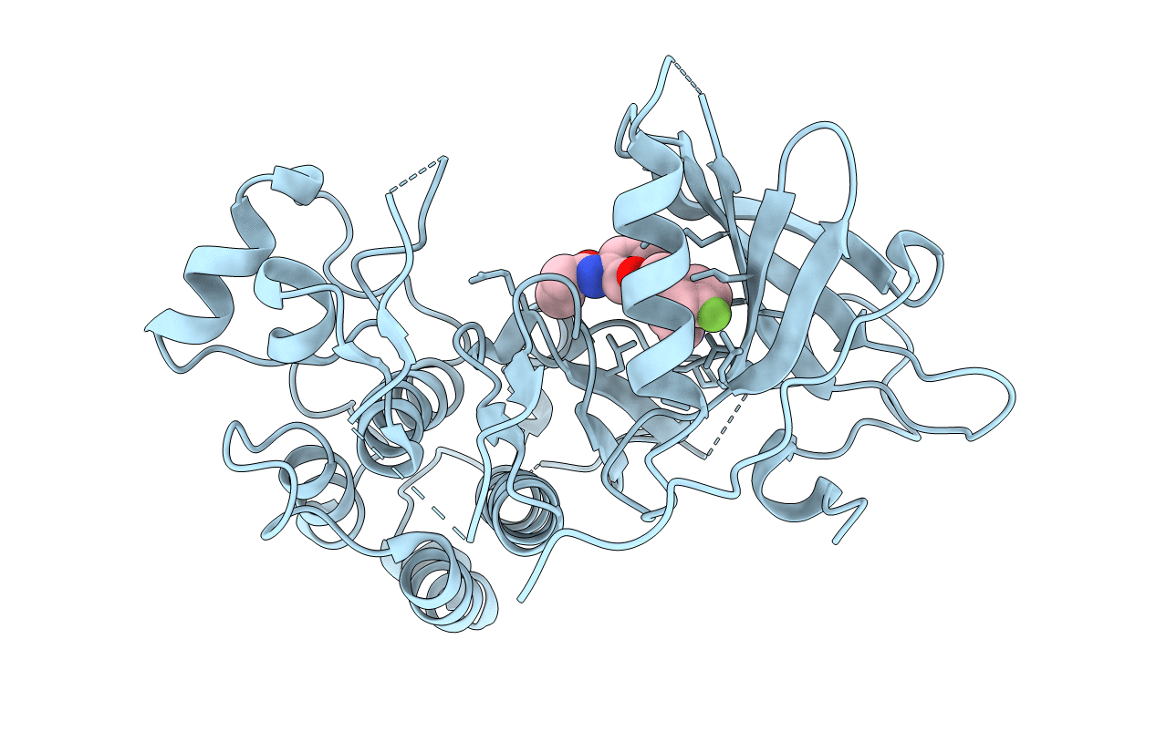 6D8E image