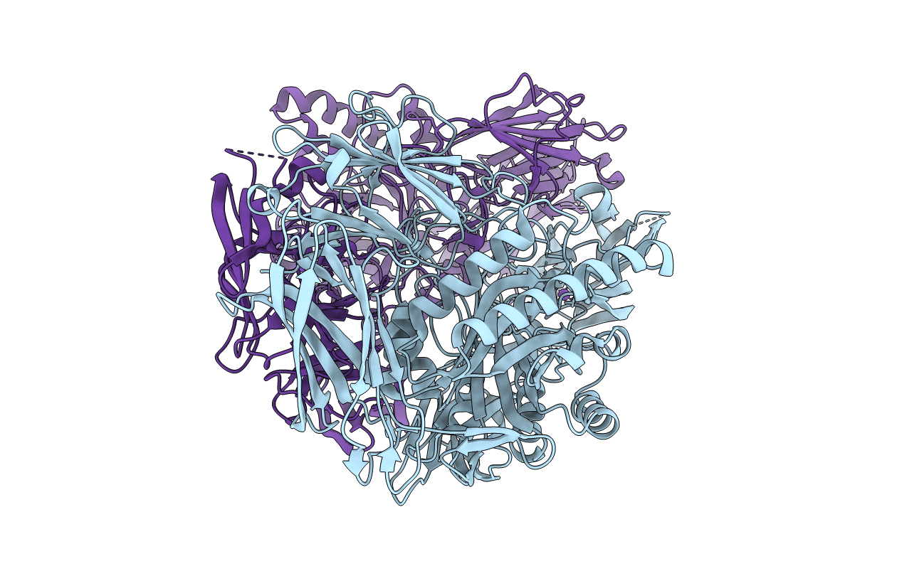 6D8G image