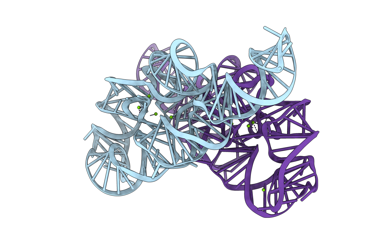 6D8N image