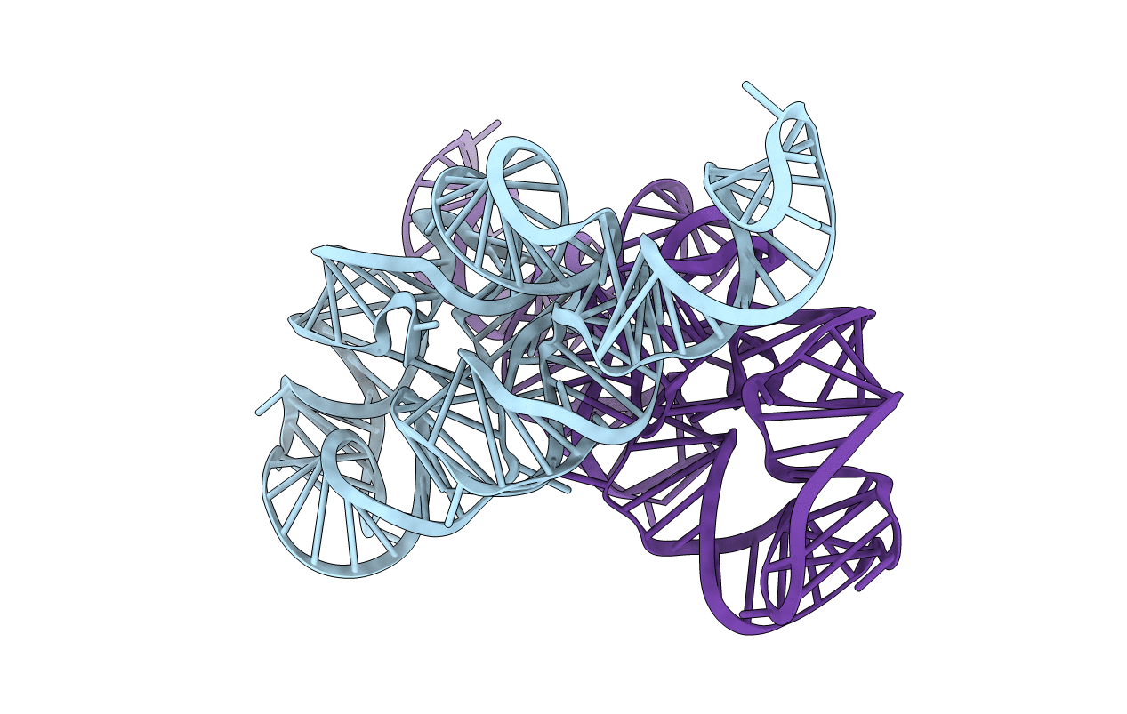 6D8O image