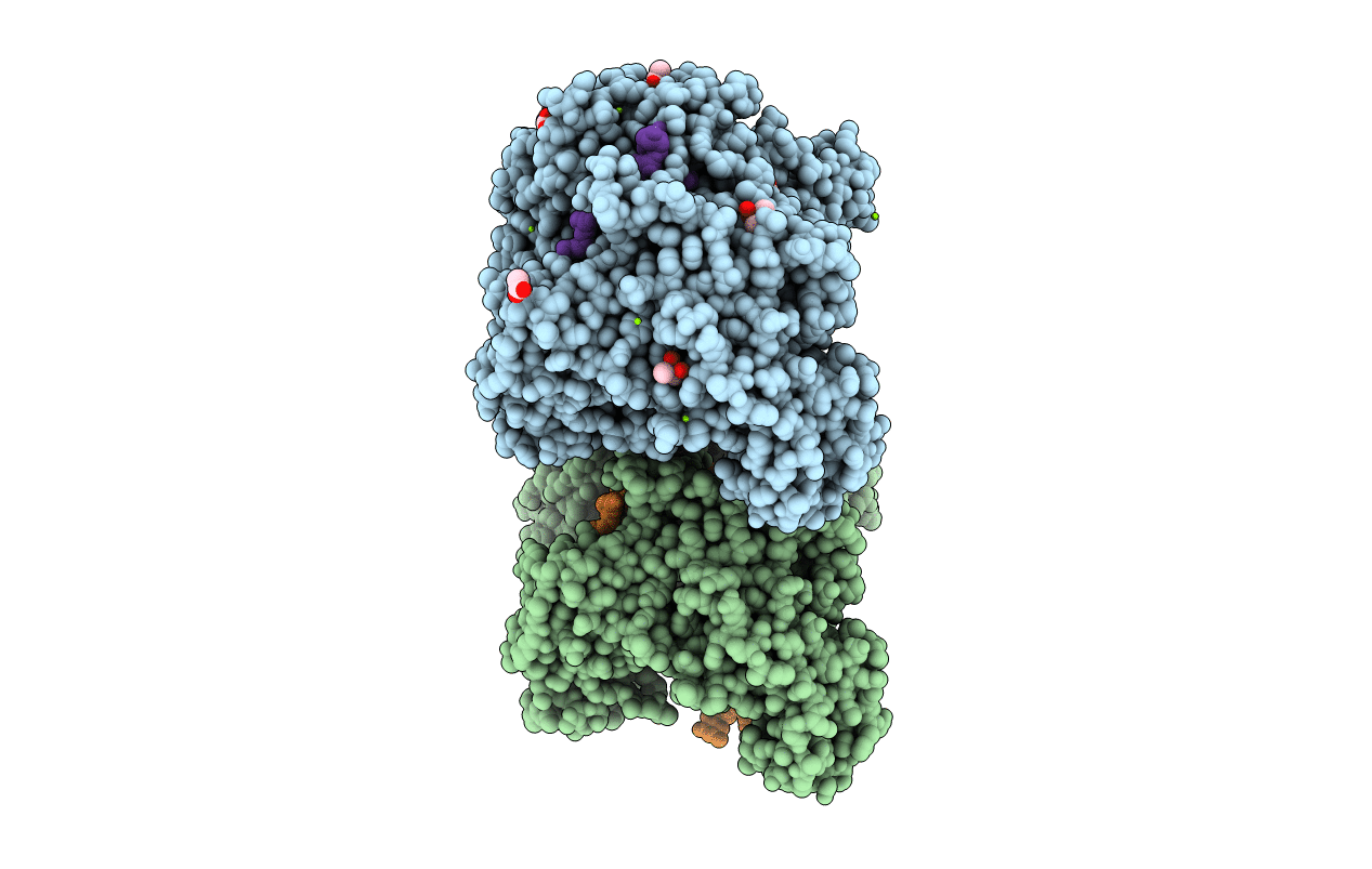 6D8P image