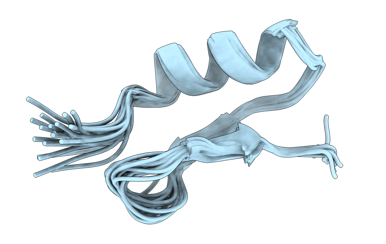 6D8T image