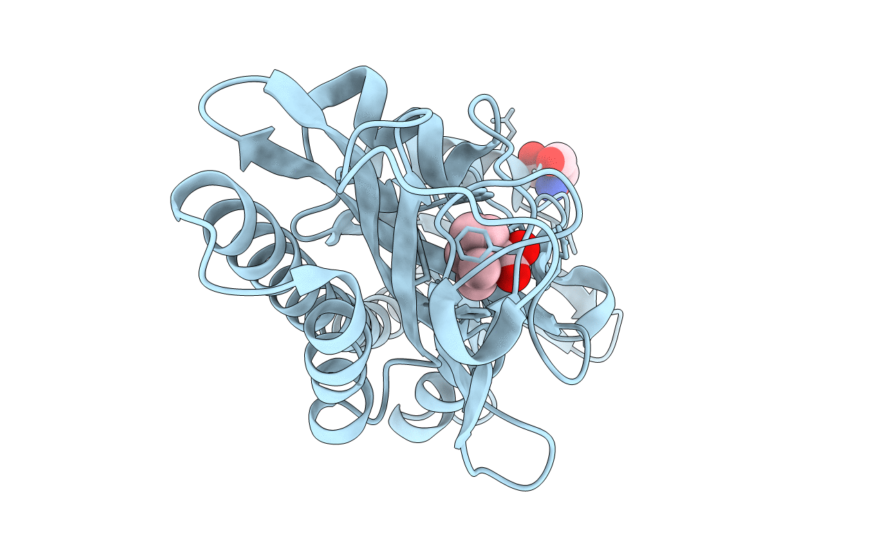 6D8V image
