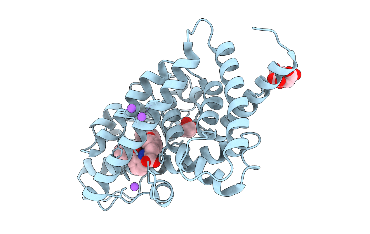 6D8X image