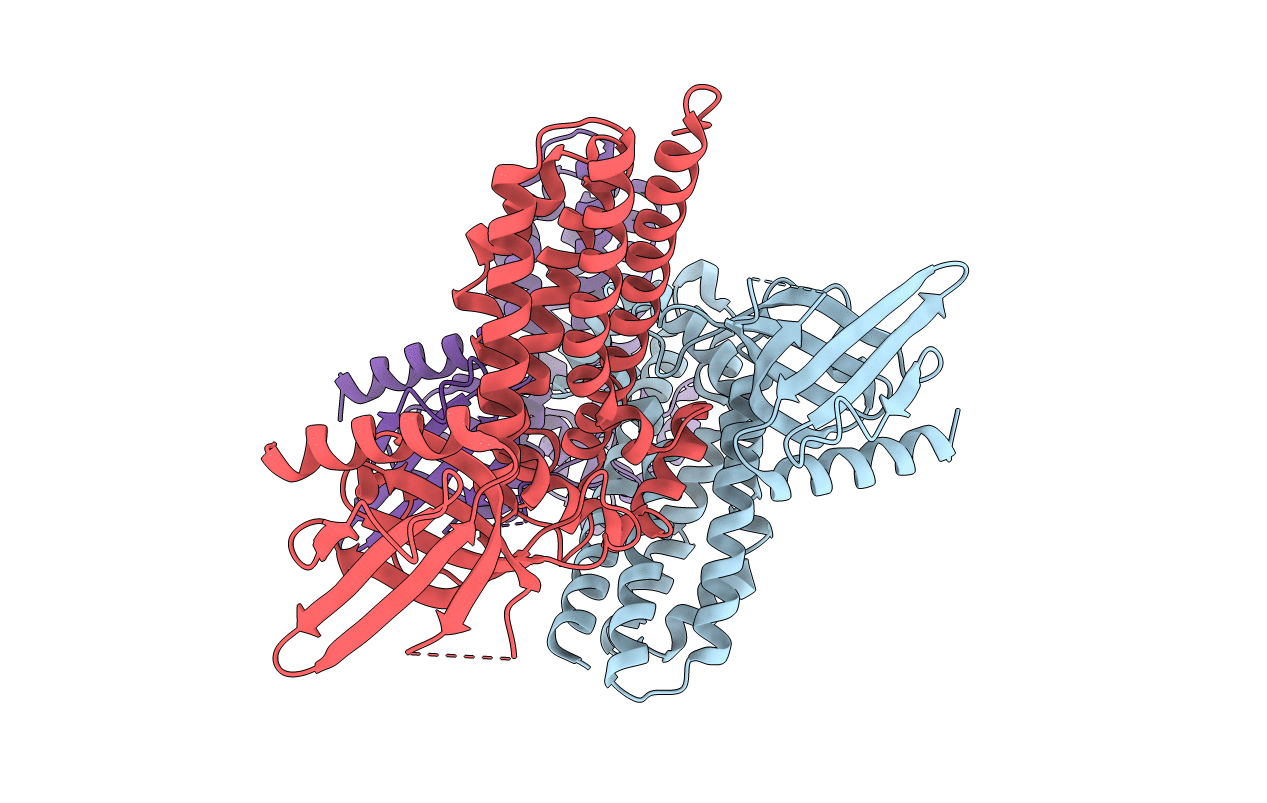 6D8Z image