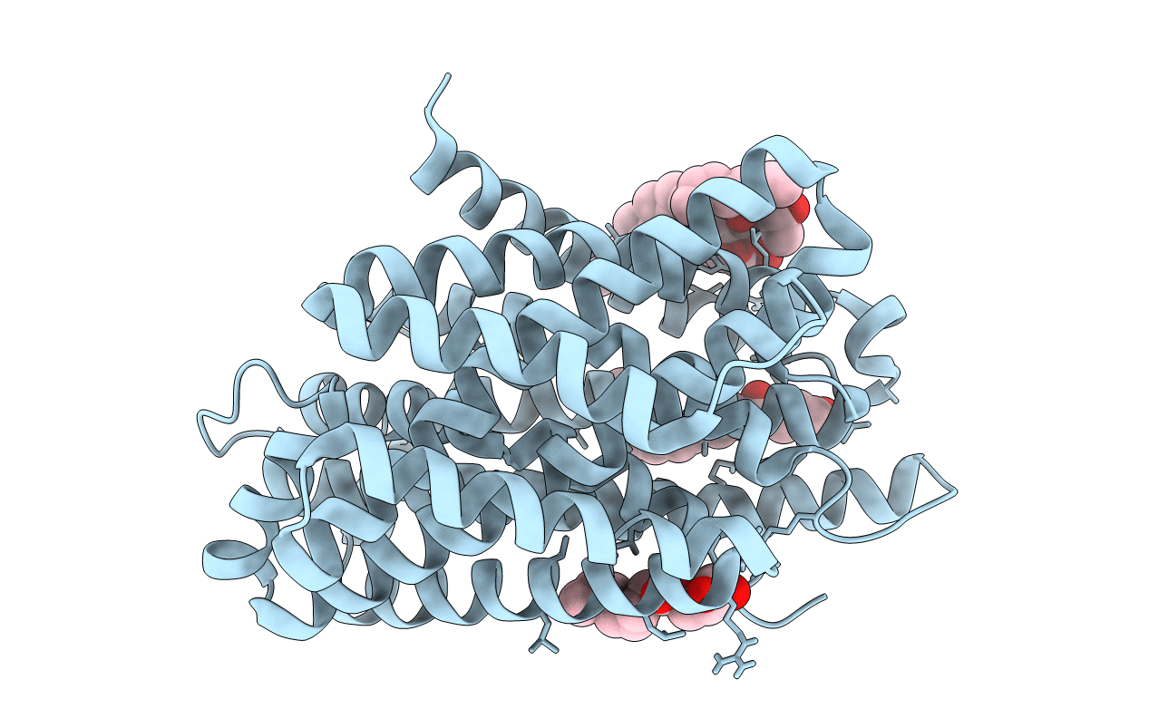 6D91 image