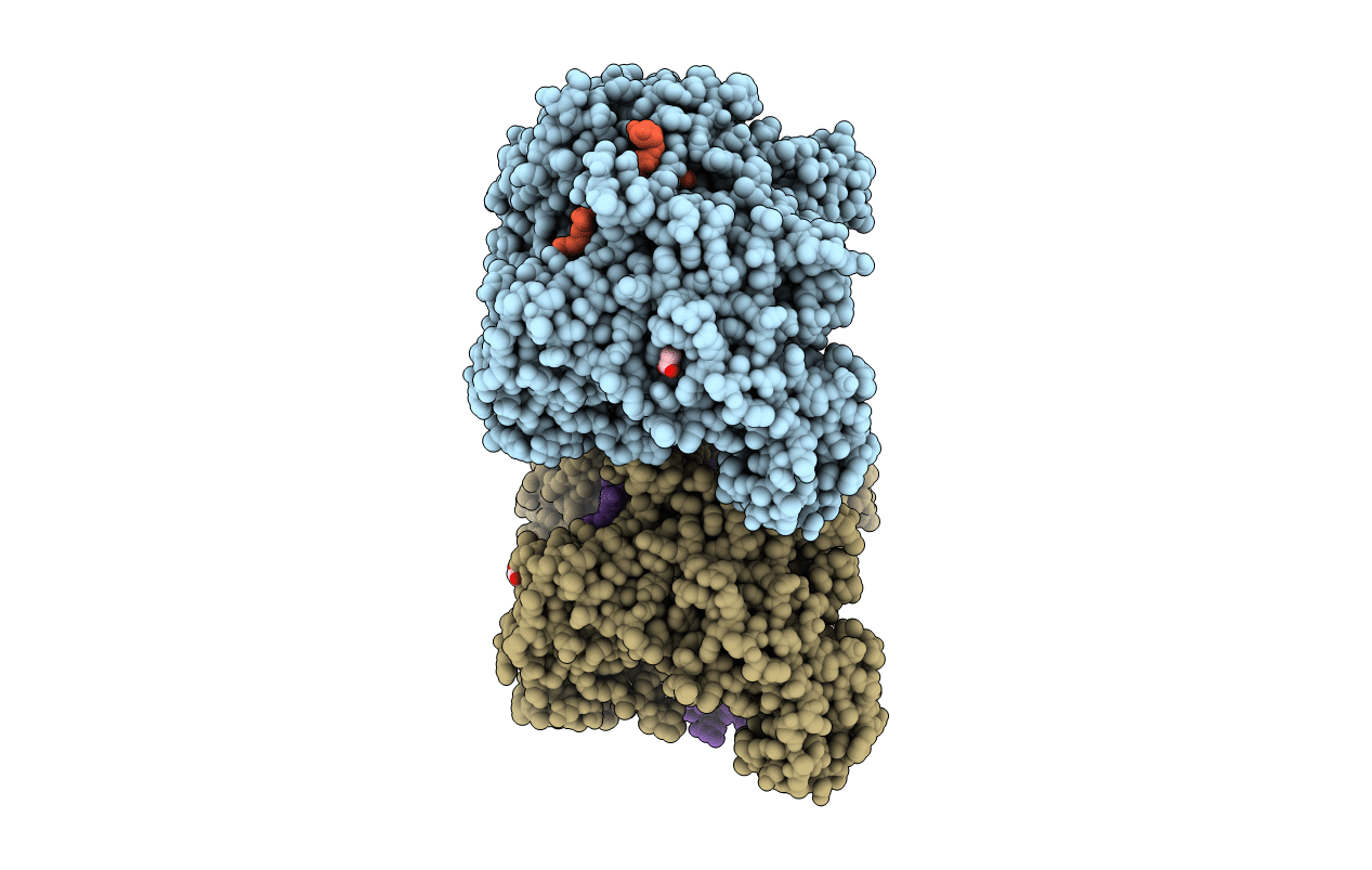 6D92 image